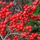 해찬농원 이미지