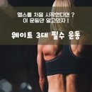 팀스파르타짐
