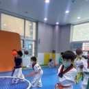 리틀태권도장 이미지