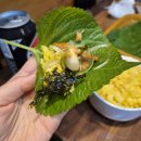 제육의 정석
