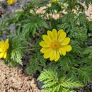 도원운학로 이미지