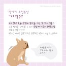 다올동물병원 이미지