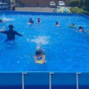 팽성초등학교 이미지