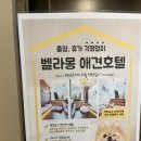 그라체(Grazie) 이미지