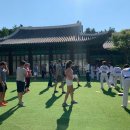 VIP태권도 이미지