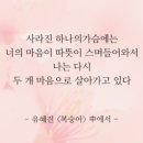 핑크스토리 네이버블로그