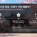 용연공원 | 수원 벚꽃 솔직 후기광교호수공원 · 수원화성 · 방화수류정 · 용연 · 만석공원까지 한 번에 정리!