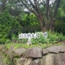 좌구산 옥상정원 | 웰니스 관광체험 의료진 치유 프로그램 후기 리조트 스파밸리 네이처파크 호텔드포레