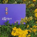 리봄헤어살롱