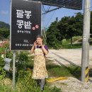 팔봉농원 이미지