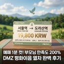 DMZ PC | 🚂 부모님 오열하는 효도관광 1위! DMZ 평화이음 열차 코스 후기 및 예매 성공 비법 (19,800원 당일치기)