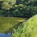 부여(외산)-7 이미지