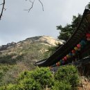 천시원