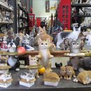 출판도시길 이미지