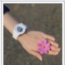 엠제이코스메틱 이미지