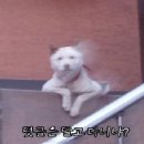 공감 이미지