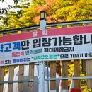 느루소공원 | 고성 울산바위 뷰 캠핑장 캠핑느루 명당 사이트 N2번 솔직 후기