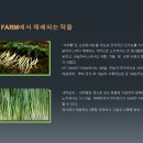 법인다농