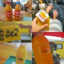 봉쉡망고월정점 | 여행 1일 1망고주스 * 제주여행의 1순위 목표!! 1일 1망고주스(망고레이, 리치망고, 먹쿠슬낭, 봉쉡망고)