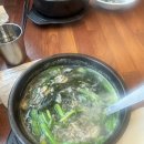 파리바게트 조치원점 | 26-01-일상-스트레스 난리자베스 하지만 지지않지