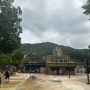 펫-오션 이미지