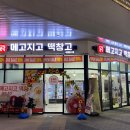 메고지고떡창고시흥플랑드르점 | 메고지고 떡창고 두바이 초콜릿 찹쌀떡 먹어봤습니다.
