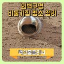 비둘기집 | 외벽구멍 비둘기집 철거 배기구 새집지었을때 보수업체