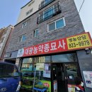 대광종묘사 이미지