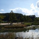 팔당물안개공원 이미지