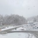 영락공원(주차장) 이미지