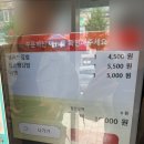 2365 | 범계역 싸다김밥 후기 | 샐러드김밥이 의외로 맛있었던 간단한 한 끼