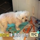 오일육 이미지
