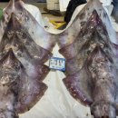 일신수산 이미지