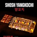 호지보보