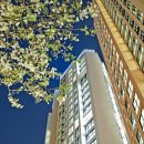 영화동천 이미지