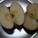 쌍둥이농장 이미지