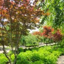 유구읍사무소 | 공주여행, 공산성 뷰에 미르 섬, 수국 정원(유구 색동 정원), 제빵 명장에 힐스포레 베이커리 카페까지 🌸🍞