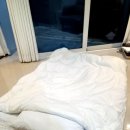 모레브B 이미지