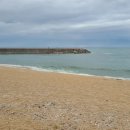 영랑공인중개사사무소 이미지