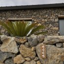 히든자왈 이미지