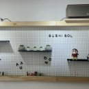 스시솔 이미지