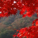 보은약수터 | 🍁 한국의 숨겨진 단풍 명소 10선: 지역별 힐링 가을 여행지 추천