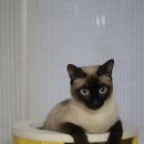 구수골농장 이미지