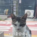 전남선정육점
