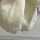 [ 경주 레뷰 174 풀빌라 ] 기역 숙소 찐 후기🛏️