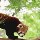 자연과아이들 이미지