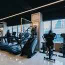 짐샤크 하안점 이미지