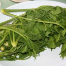 거창-신원-3 이미지