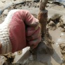 주철농장 이미지