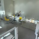 에뜨몽 | 다산 애견동반카페 에뜨몽 :: 다산 캠퍼스몰 카페 현대아울렛 애견카페 강아지수제간식 강아지케이크...